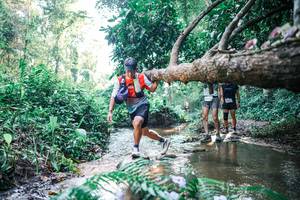 BIB: 
                            <button type="button" onclick="openModal(25438608)" class="btn btn-primary btn-sm float-right btn-popup" data-toggle="modal" data-target=".modal-high-quality">
                        <i class="fas fa-shopping-cart"></i> Add to Cart
                    </button>
                                            <button type="button" onclick="isThisMe(25438608, true)" class="btn btn-success btn-sm float-right btn-popup btn-isme hidden" data-toggle="tooltip" data-placement="bottom" title="นี่คือรูปของคุณใช่ไหม คลิกที่นี่เพื่อเอาเข้าอัลบั้ม">
                        <i class="fas fa-plus"></i> Add to album
                    </button>
                    <button type="button" onclick="isThisMe(25438608, false)" class="btn btn-warning btn-sm float-right btn-popup btn-isnotme hidden">
                        <i class="fas fa-ban"></i> Remove from album
                    </button>